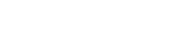 logo lexed